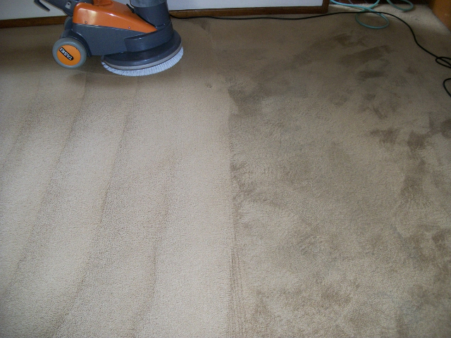 Image of Cream Carpet being Cleaned